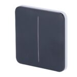 SoloButton [55] graphite 2-gang
