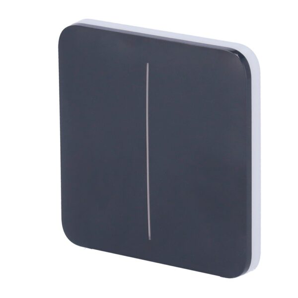 SoloButton [55] graphite 2-gang