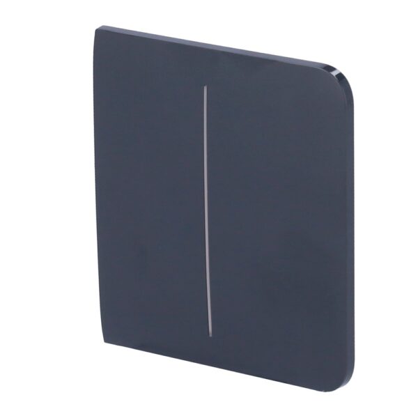SideButton [55] graphite 2-gang