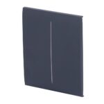 CenterButton [55] graphite 2-gang