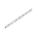 Striscia LED bianca, IP67, 160 W/m, nastro da 5 m