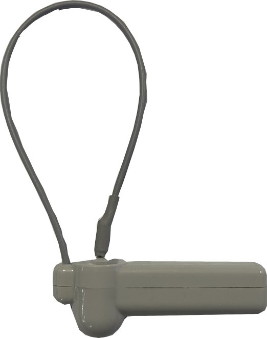 ISC-ETA5-T011 Tag AM lanyard - immagine 1