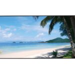 Monitor LED 4K 49" 450 nit 24/7