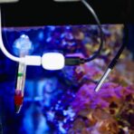 Shelly Sensore Temperatura DS18B20 con Jack da 3,5mm e cavo da 1 m - Compat. The Pill. Colore nero - immagine 4