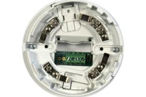 ESB1011