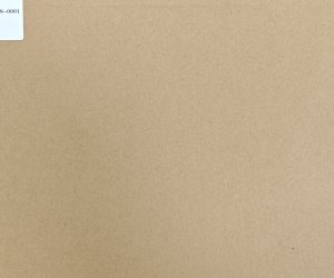ISC-ETRS-0001