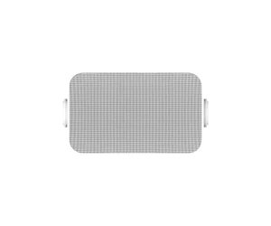 SON113_f1.webp