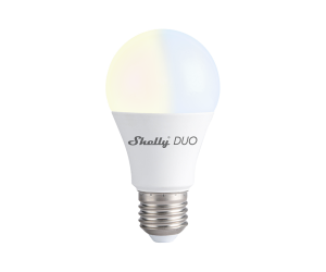 Shelly-Duo-main-image.png