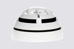 WD100